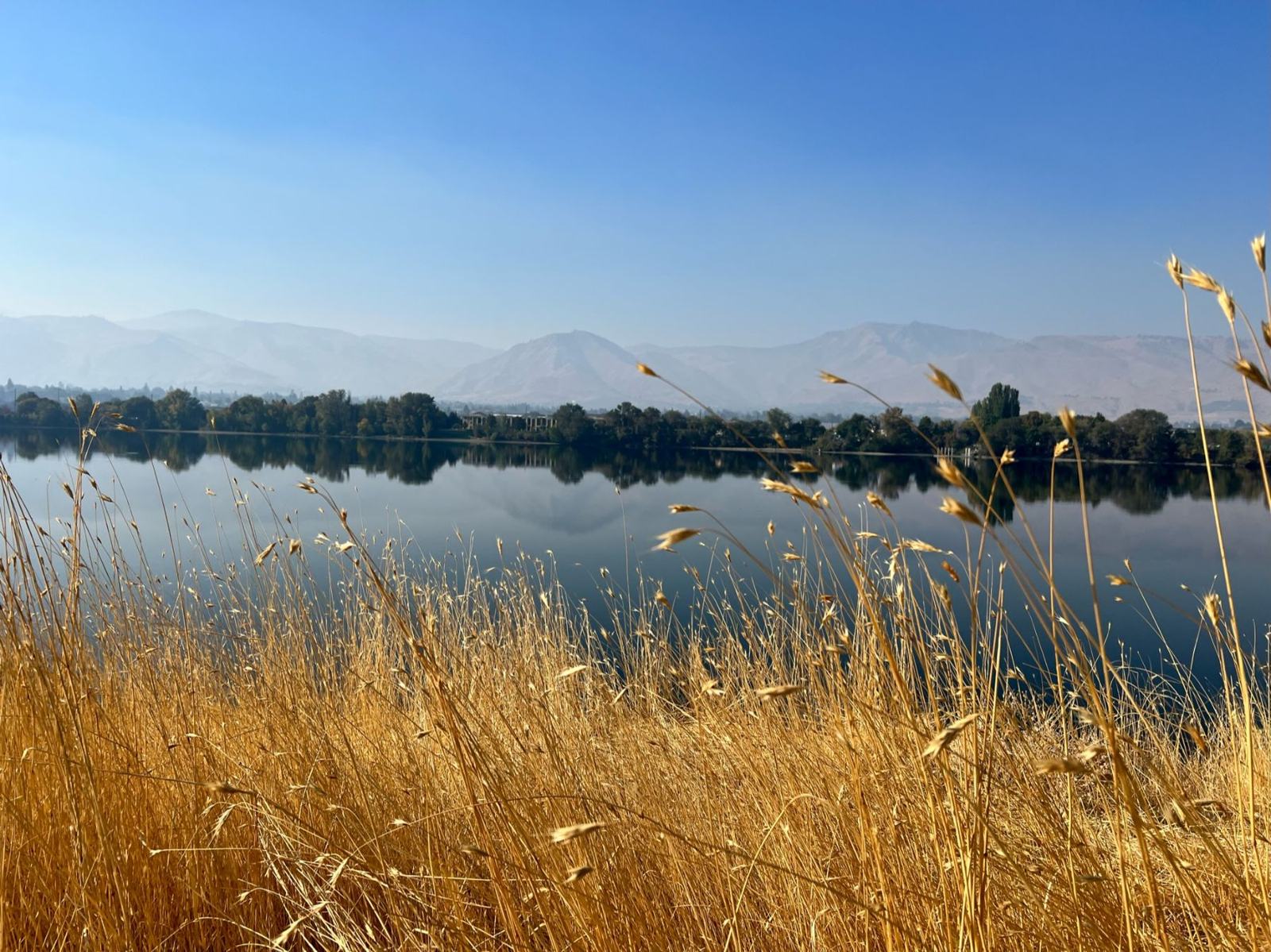 Still lake reflecting mountains, golden grass in front